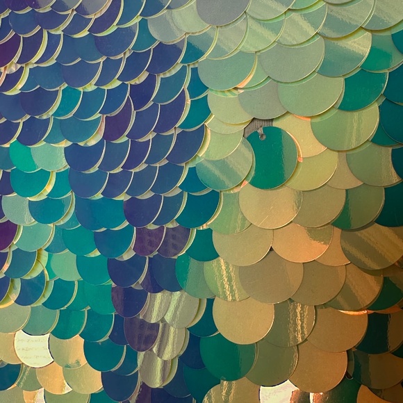 NEW ROSA BLOOM Sequins Crop Top SIZE XXS - Picture 2 of 4